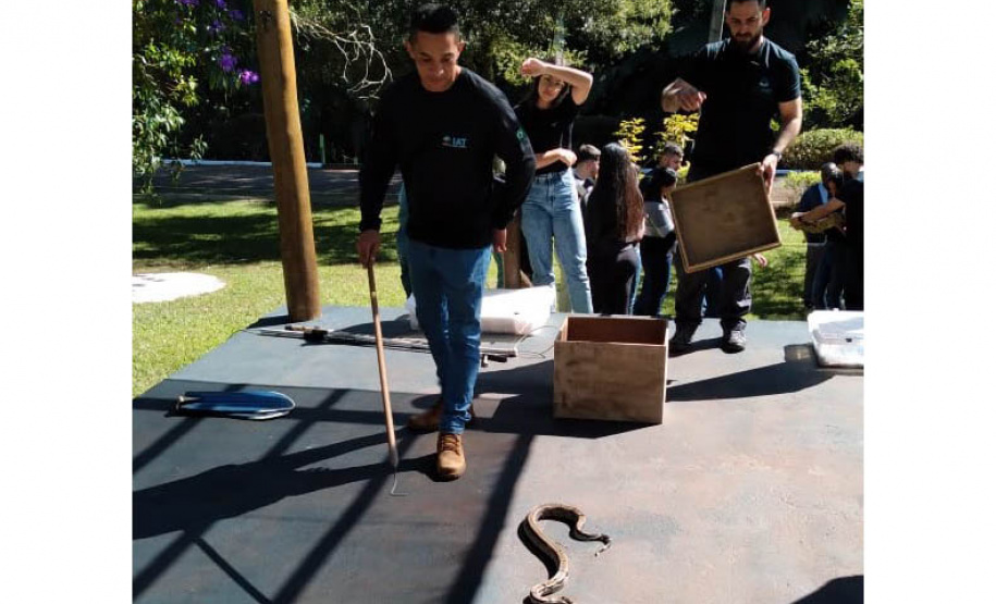 IAT capacita técnicos ambientais para o manejo correto de serpentes