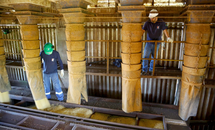 EXPORTAÇÃO ORIENTE MÉDIO, ÁFRICA E SUDESTE ASIÁTICO