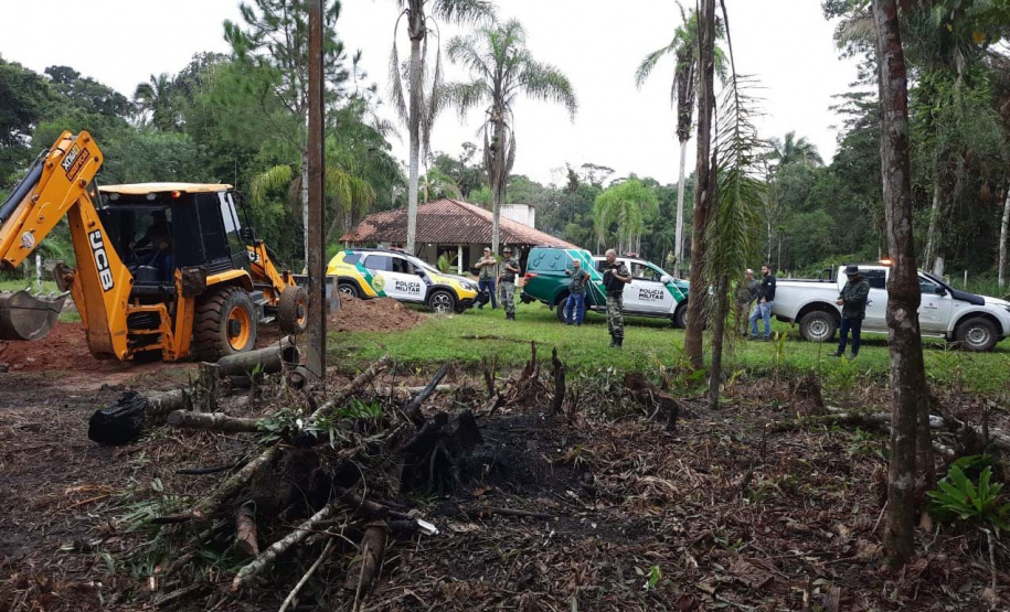 Avanço na fiscalização por parte do IAT fez com que diminuísse a execução de crimes ambientais como desmatamento na região de Maringá.