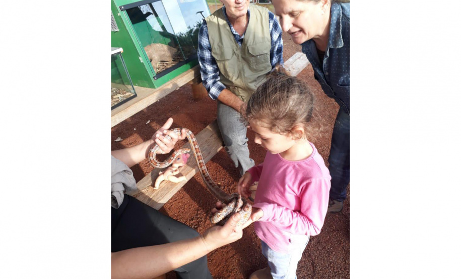 Unidades de Conservação do Paraná recebem neste domingo (21) mais uma edição do programa "Um dia no Parque