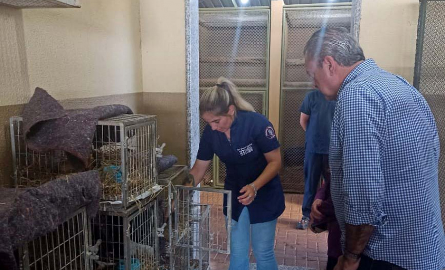 IAT e Unifil renovaram o convênio para atendimento à fauna silvestre: novo vínculo é de cinco anos.