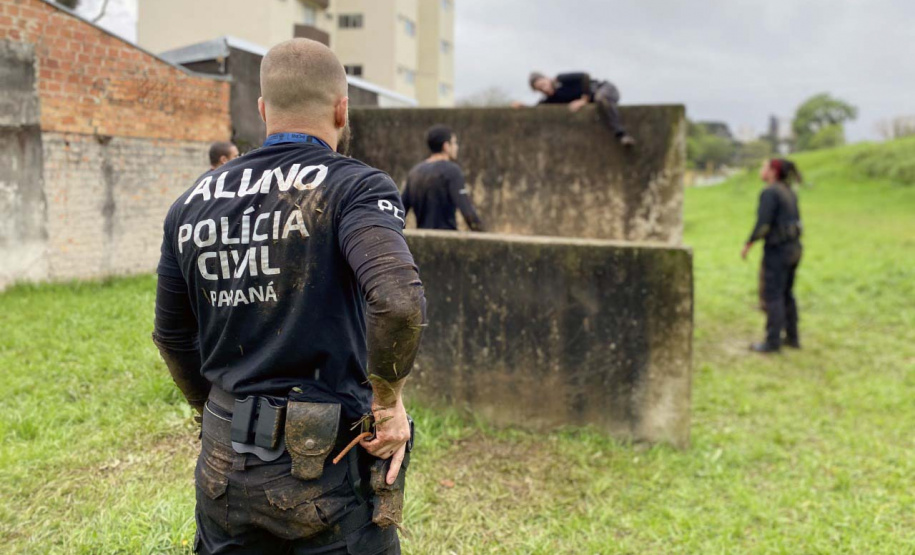 Paraná registra menor número de homicídios dos últimos 18 anos no 1º semestre