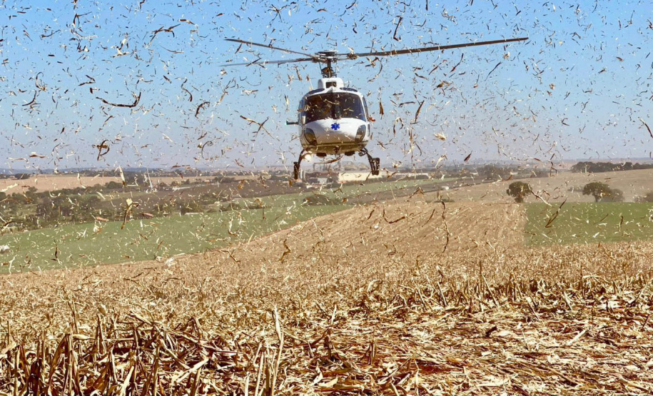 O Serviço de Atendimento Móvel de Urgência (Samu) atendeu 15.738 paranaenses a mais no primeiro semestre deste ano, comparado ao mesmo período de 2023. Este ano, o Estado registrou 610.174 atendimentos, contra 594.436 no ano passado. Os números incluem os atendimentos realizados por 282 ambulâncias, seis aeronaves e duas motolâncias coordenadas por 12 Regulações descentralizadas