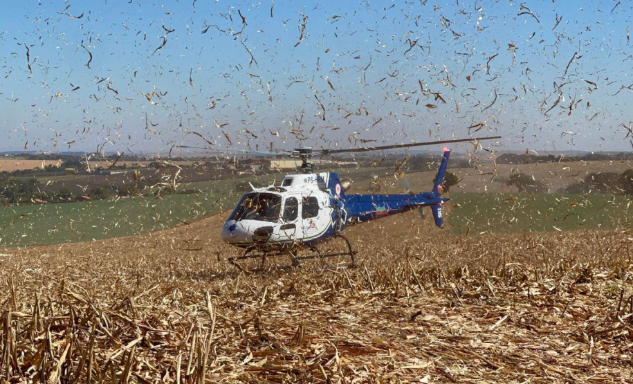 O Serviço de Atendimento Móvel de Urgência (Samu) atendeu 15.738 paranaenses a mais no primeiro semestre deste ano, comparado ao mesmo período de 2023. Este ano, o Estado registrou 610.174 atendimentos, contra 594.436 no ano passado. Os números incluem os atendimentos realizados por 282 ambulâncias, seis aeronaves e duas motolâncias coordenadas por 12 Regulações descentralizadas
