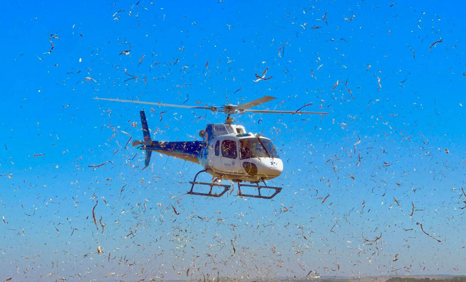 O Serviço de Atendimento Móvel de Urgência (Samu) atendeu 15.738 paranaenses a mais no primeiro semestre deste ano, comparado ao mesmo período de 2023. Este ano, o Estado registrou 610.174 atendimentos, contra 594.436 no ano passado. Os números incluem os atendimentos realizados por 282 ambulâncias, seis aeronaves e duas motolâncias coordenadas por 12 Regulações descentralizadas