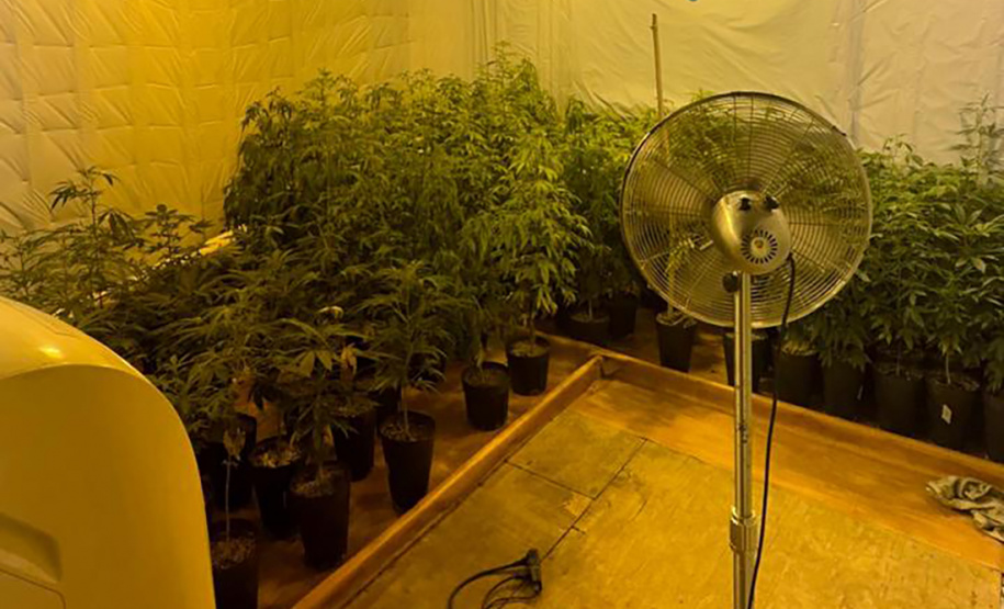 PMPR APREENDE MACONHA