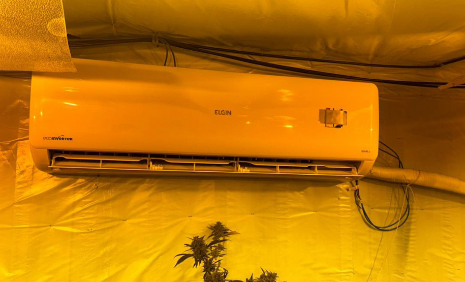 PMPR APREENDE MACONHA