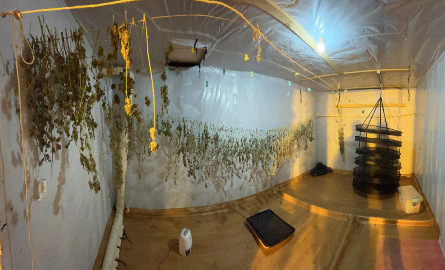 PMPR APREENDE MACONHA