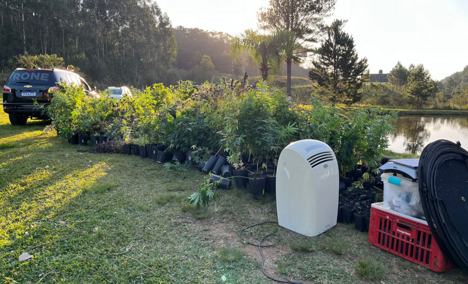 PMPR APREENDE MACONHA