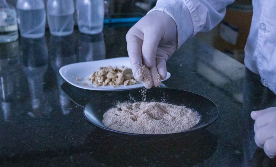 Apoiada pelo Estado, startup paranaense transforma  fungos em “carne”