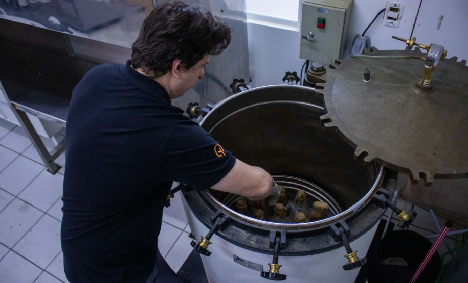 Apoiada pelo Estado, startup paranaense transforma  fungos em “carne”