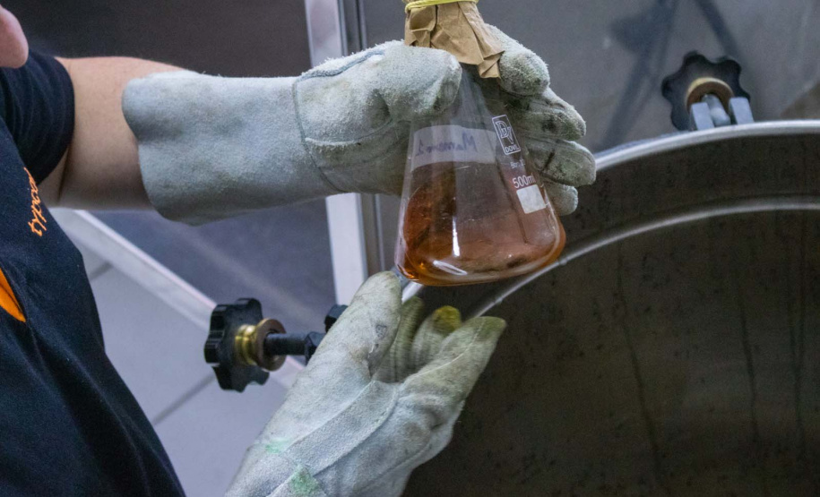 Apoiada pelo Estado, startup paranaense transforma  fungos em “carne”