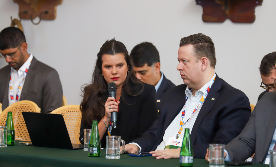 Grupo de Trabalho nesta sexta-feira (9) da 11ª edição do Consórcio de Integração Sul e Sudeste (Cosud), no Espirito Santo.