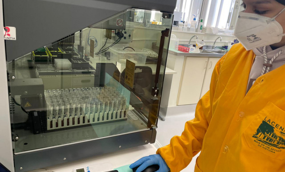 SESA febre Oropouche