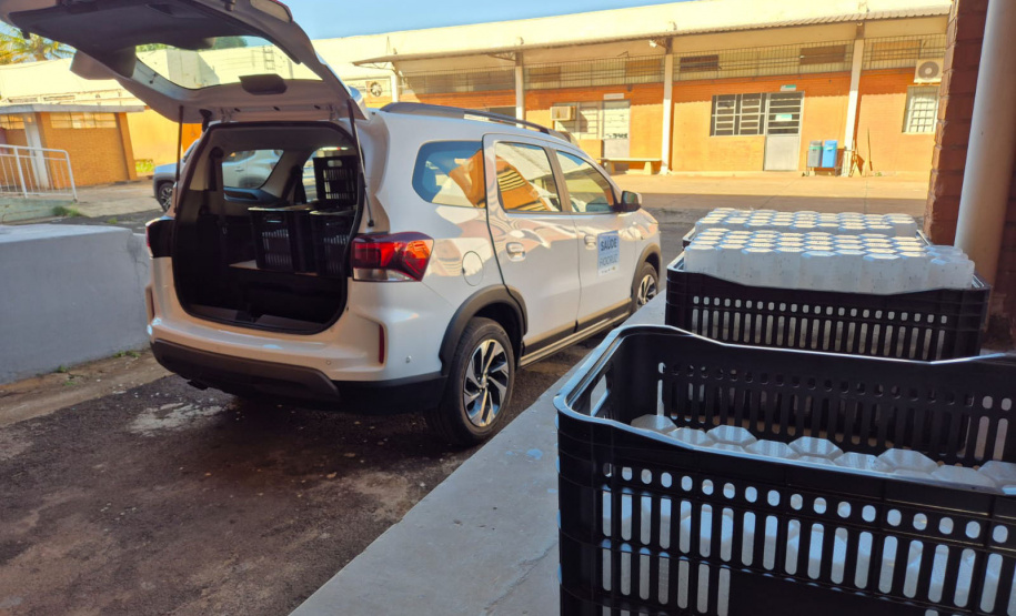 Combate à dengue: Londrina e Foz do Iguaçu iniciam liberações de 4 milhões de Wolbitos