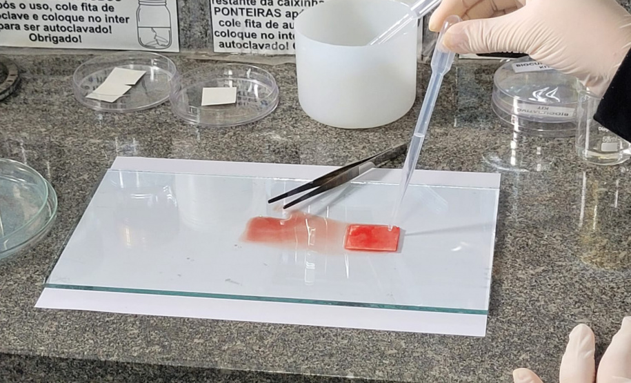 SETI PRODUTO INOVADOR UEL