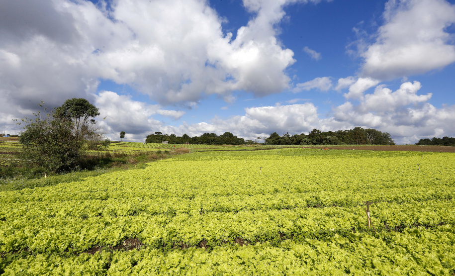 PR 3º COLOCADO GERAL DO RANKING DE COMPETITIVIDADE