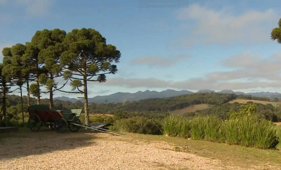 TV Paraná Turismo e Rádio Educativa têm 5 reportagens finalistas no Prêmio Sebrae de Jornalismo