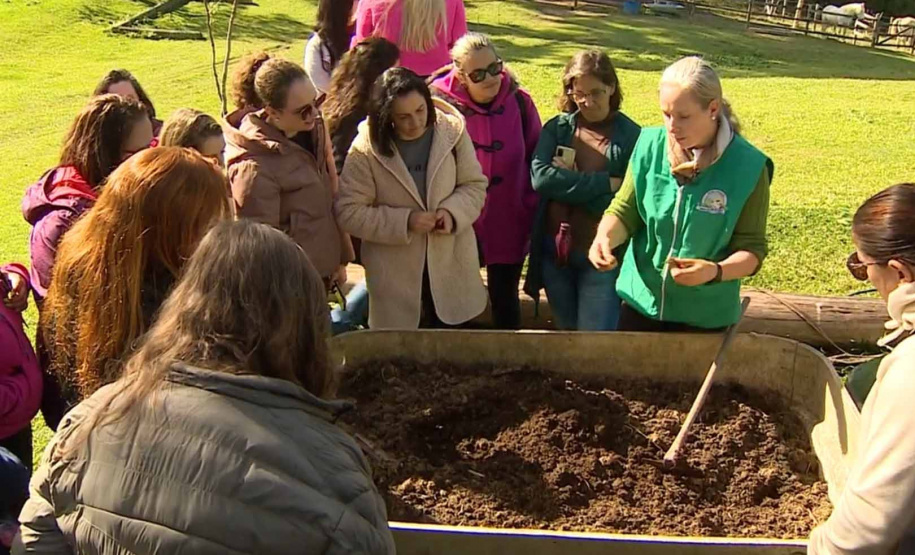 TV Paraná Turismo e Rádio Educativa têm 5 reportagens finalistas no Prêmio Sebrae de Jornalismo