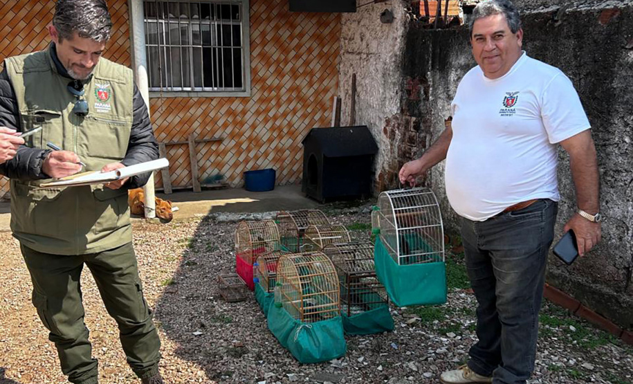 IAT APREENDE SETE AVES MANTIDAS EM CATIVEIRO IRREGULAR EM CURITIBA NESTA QUINTA-FEIRA (29)