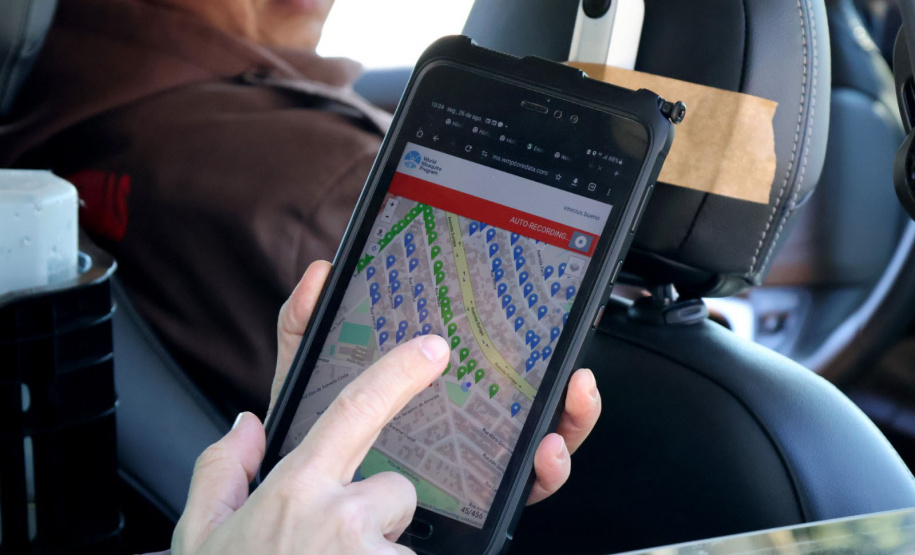 Combate à dengue: Londrina e Foz do Iguaçu iniciam liberações de 4 milhões de Wolbitos