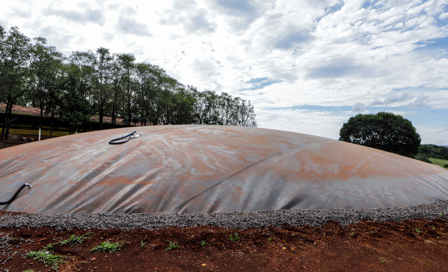 Três anos de RenovaPR: Paraná é líder na capacidade instalada para a geração de energia no setor rural nas regiões Sul e Sudeste