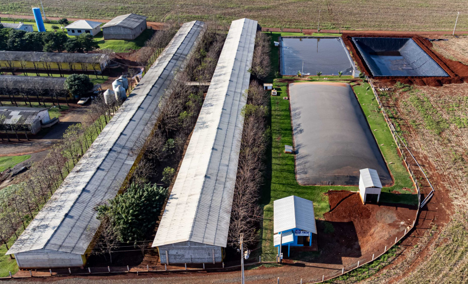 Série de reportagens mostra transformação no campo com avanço da energia renovável