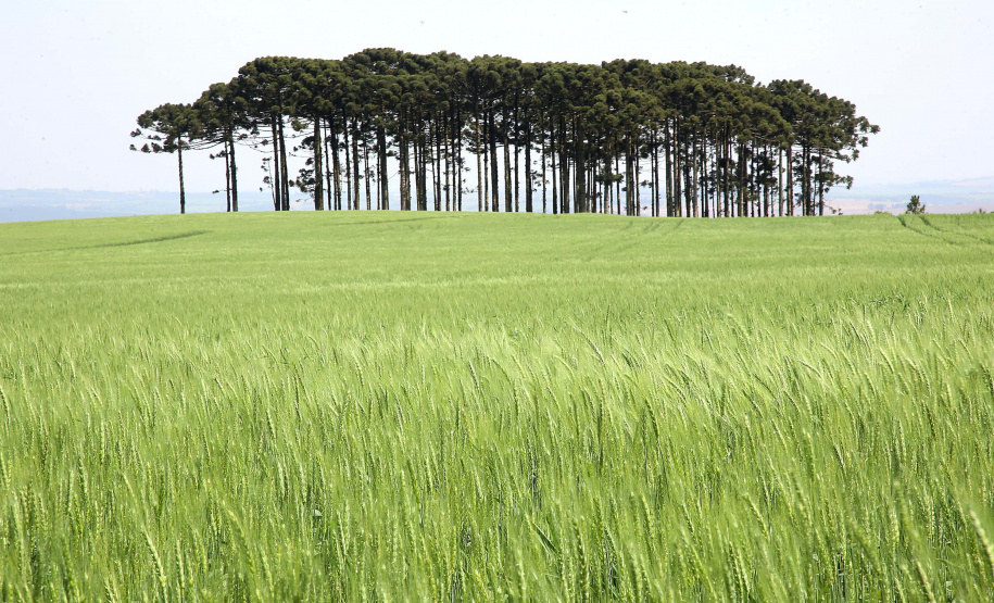 PR 3º COLOCADO GERAL DO RANKING DE COMPETITIVIDADE