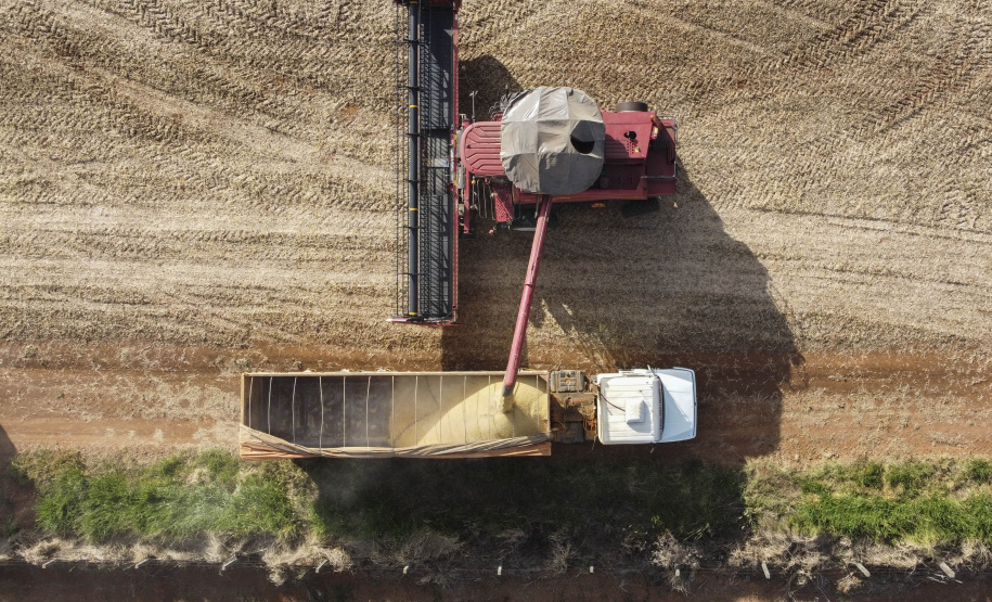 35 municípios do Paraná têm Valor Bruto da Produção Agropecuária superior a R$ 1 bilhão