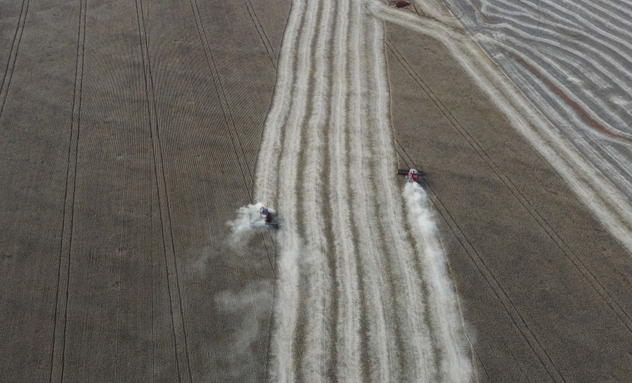 35 municípios do Paraná têm Valor Bruto da Produção Agropecuária superior a R$ 1 bilhão