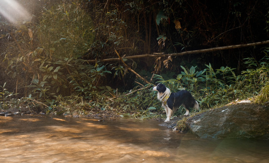 SETU DESCONTOS FEIRA NACIONAL DO TURISMO