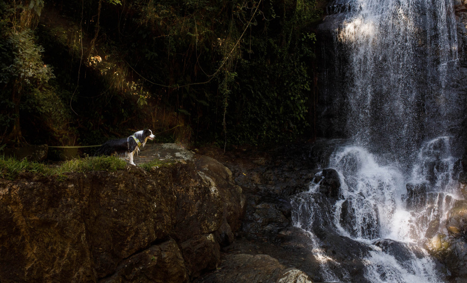 SETU DESCONTOS FEIRA NACIONAL DO TURISMO