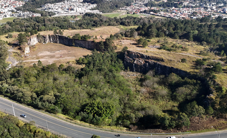 PEDREIRA