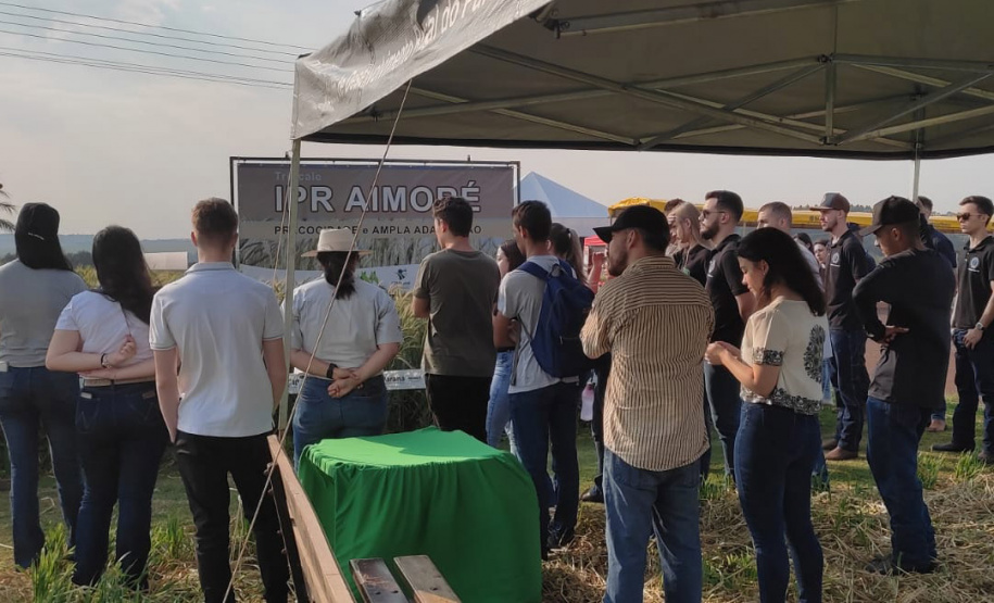 IDR-Paraná marca presença no Show Rural Coopavel de Inverno