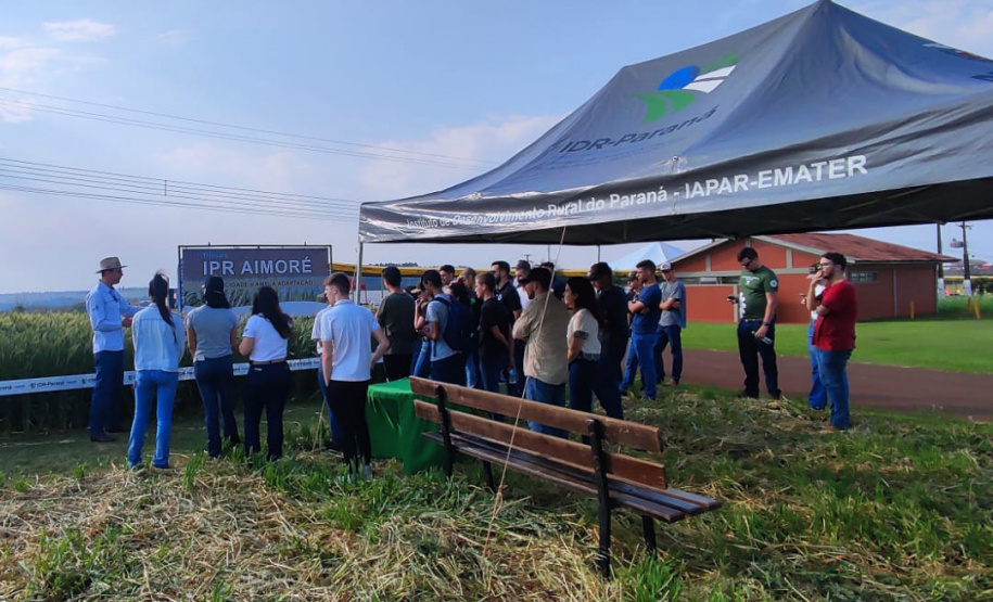 IDR-Paraná marca presença no Show Rural Coopavel de Inverno