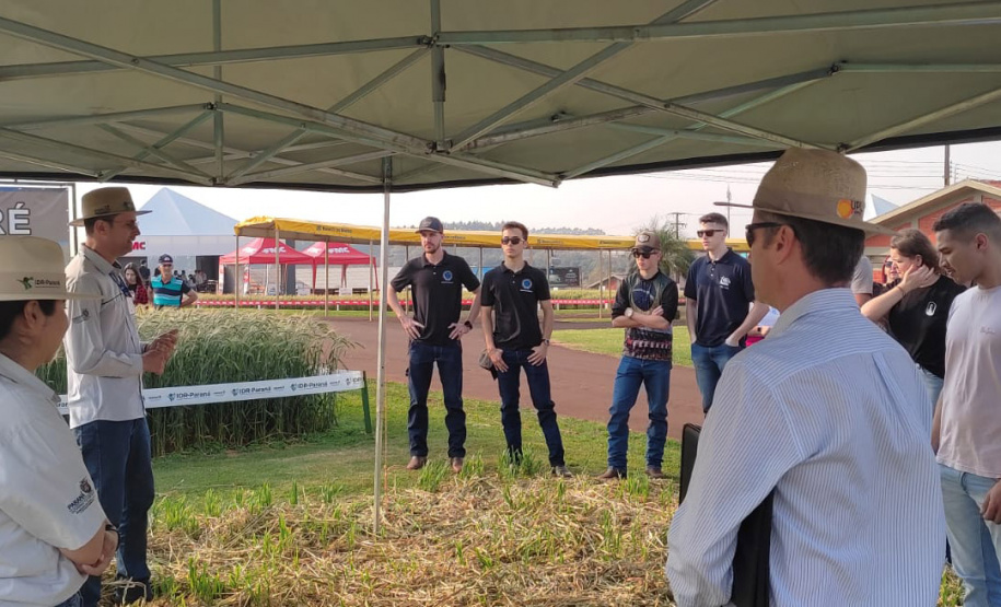 IDR-Paraná marca presença no Show Rural Coopavel de Inverno