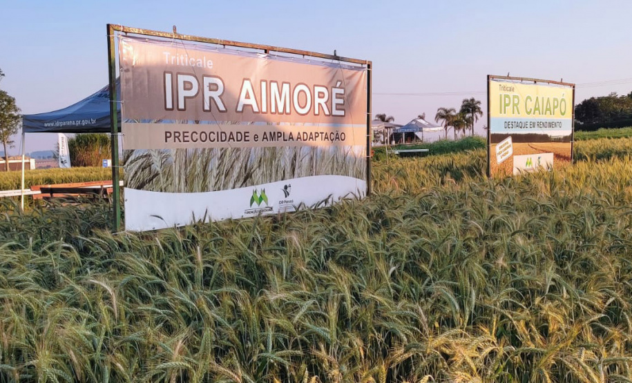 IDR-Paraná marca presença no Show Rural Coopavel de Inverno