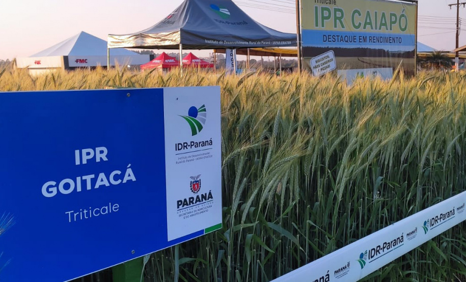 IDR-Paraná marca presença no Show Rural Coopavel de Inverno