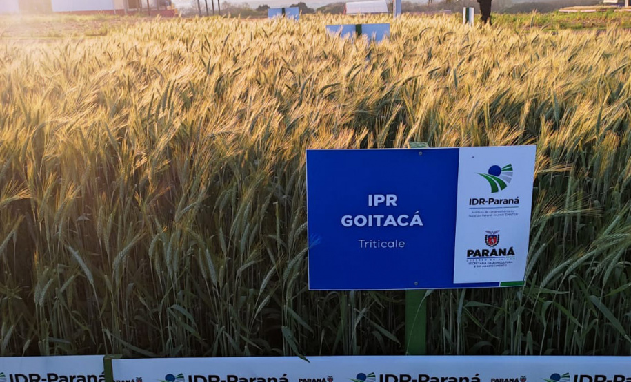 IDR-Paraná marca presença no Show Rural Coopavel de Inverno