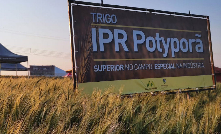 IDR-Paraná marca presença no Show Rural Coopavel de Inverno