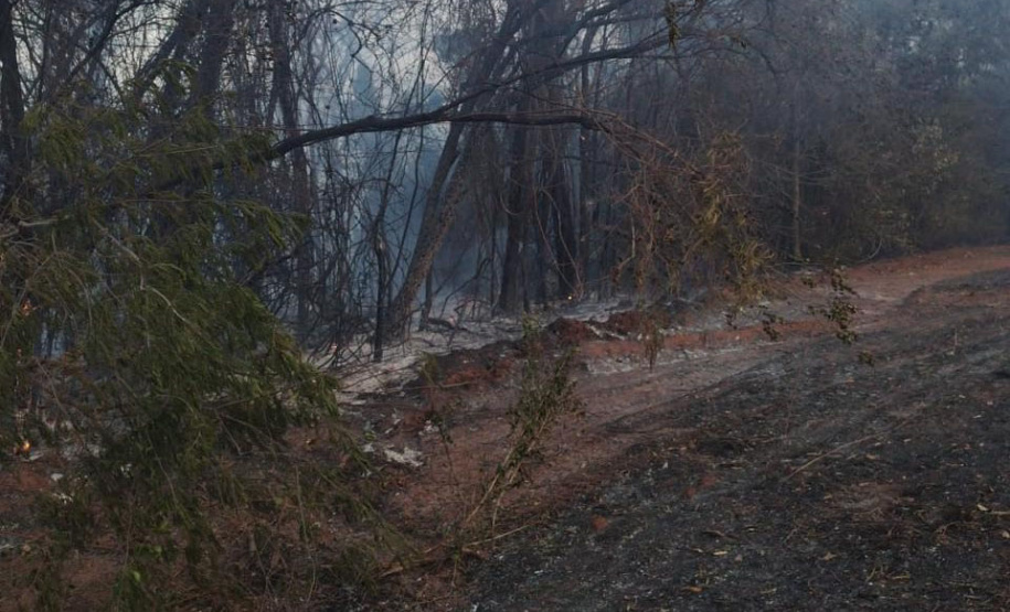 Caminhões-pipa fornecidos pelo Estado ajudam a combater incêndio florestal em Cianorte