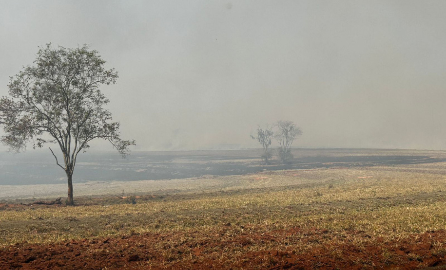 IAT ajuda a combater três novos focos de incêndio florestal no Paraná