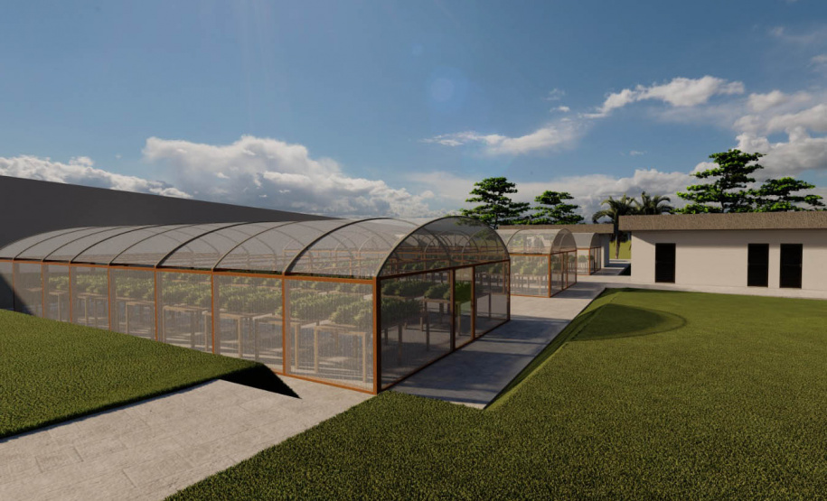 IDR-Paraná terá horto de plantas medicinais, aromáticas e condimentares