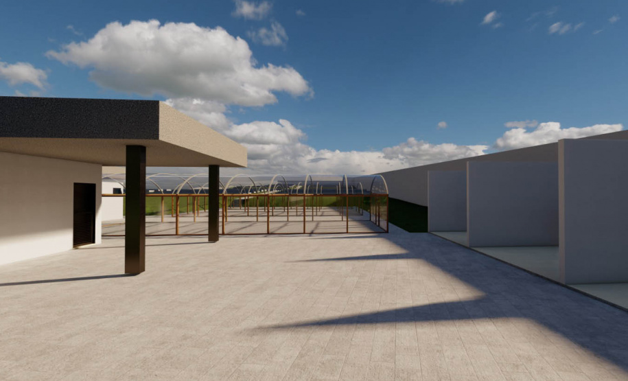 IDR-Paraná terá horto de plantas medicinais, aromáticas e condimentares