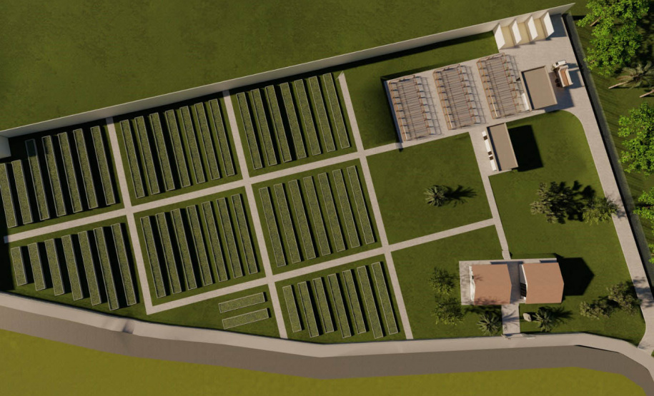 IDR-Paraná terá horto de plantas medicinais, aromáticas e condimentares