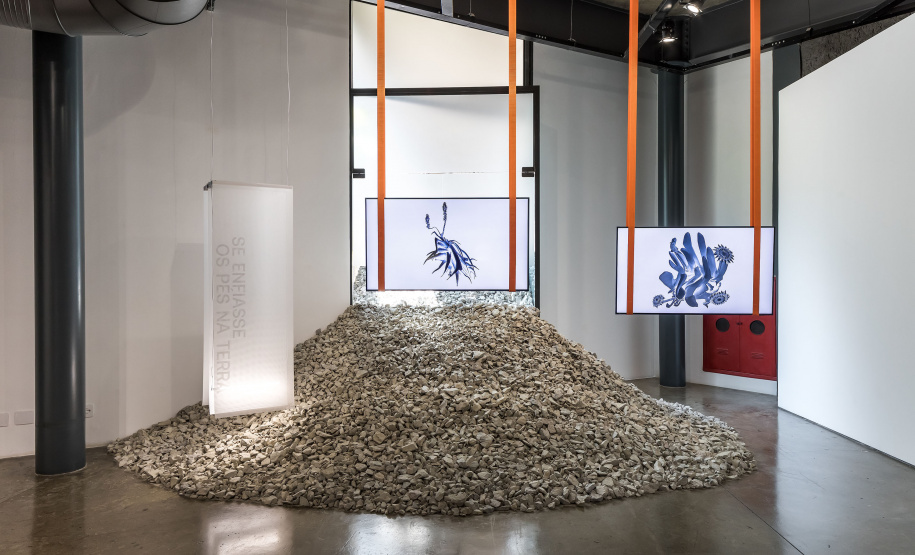 MUPA LANÇA CATÁLOGO