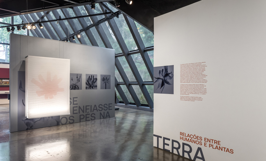 MUPA LANÇA CATÁLOGO