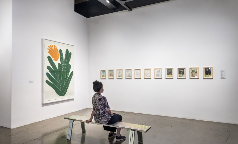 MUPA LANÇA CATÁLOGO