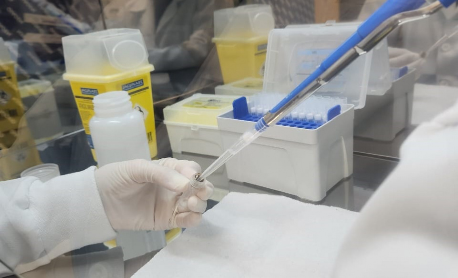 FUNDAÇÃO ARAUCÁRIA Mat Genomas SUS