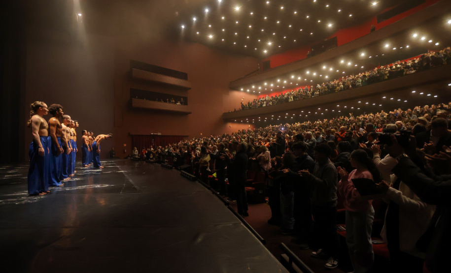 Coreografia Castelo do ballet Teatro Guaira